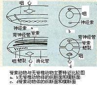 245e8bcafd2edfb9c8176802.jpg