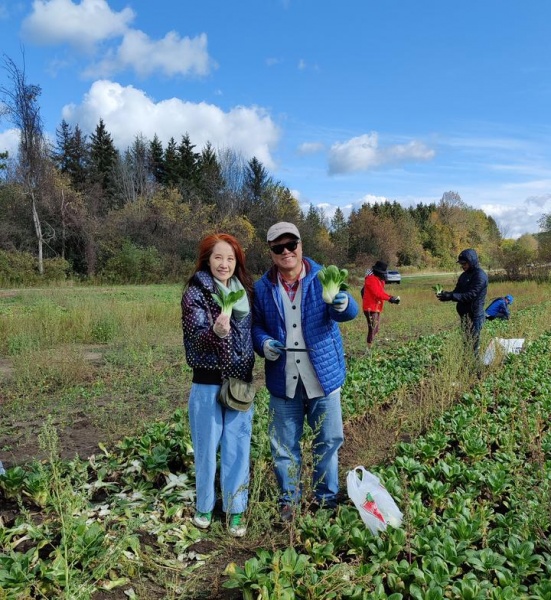 文件:多伦多华裔蔬菜采摘13.jpg