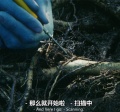 2022年4月7日 (四) 10:12的版本的缩略图