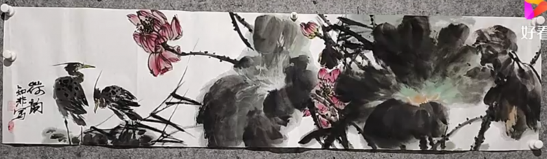 文件:荷花鸬鹚1.png