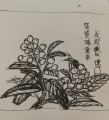 2019年4月18日 (四) 09:24的版本的缩略图