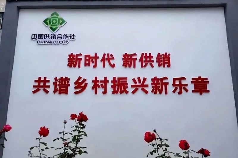 文件:供销社的大秘密02.jpg