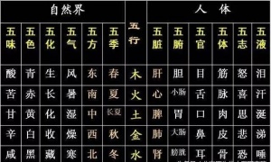 五行与五脏2.jpg