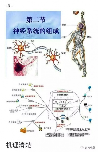 文件:网络神经系统的组成.jpg