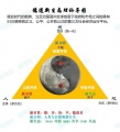 2022年12月10日 (六) 05:54的版本的缩略图