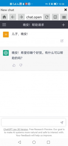 文件:ChatGPT不会像你的截图那样弱智的回答.jpg