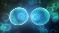 2021年11月20日 (六) 05:47的版本的缩略图