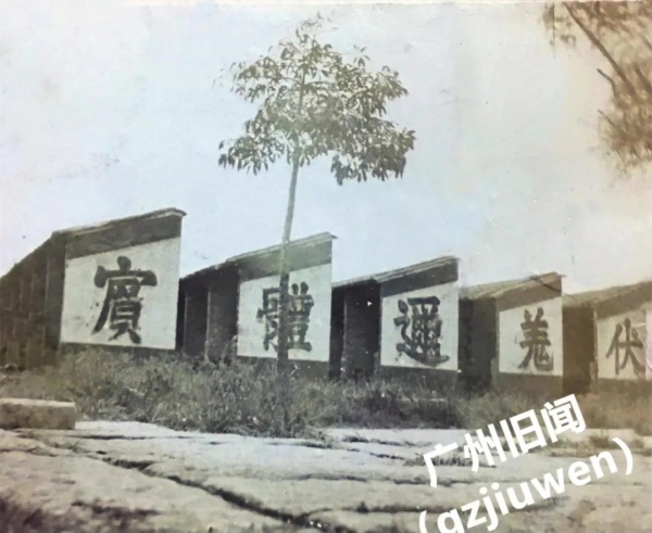 我的东堂13.jpg