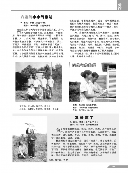 文件:黄岭农场青春影踪内页43.png