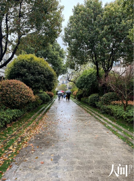 文件:我的悲伤你不懂2.jpg
