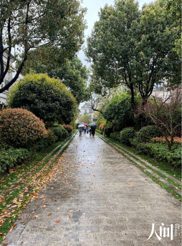 我的悲伤你不懂2.jpg