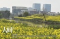 2022年4月22日 (五) 22:16的版本的缩略图