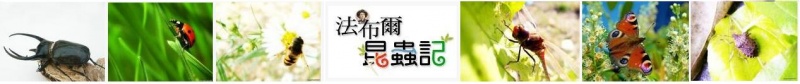 文件:Kunchongji001.JPG