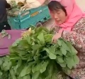2021年4月2日 (五) 13:19的版本的缩略图