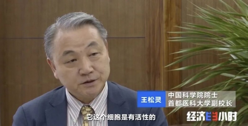 文件:牙齿重生3.jpg