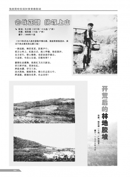 文件:黄岭农场青春影踪内页9-16 6.jpg