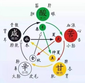 五行与五脏1.jpg