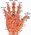 2020年4月21日 (二) 00:29的版本的缩略图