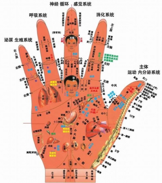 文件:1204431425345697564.jpg