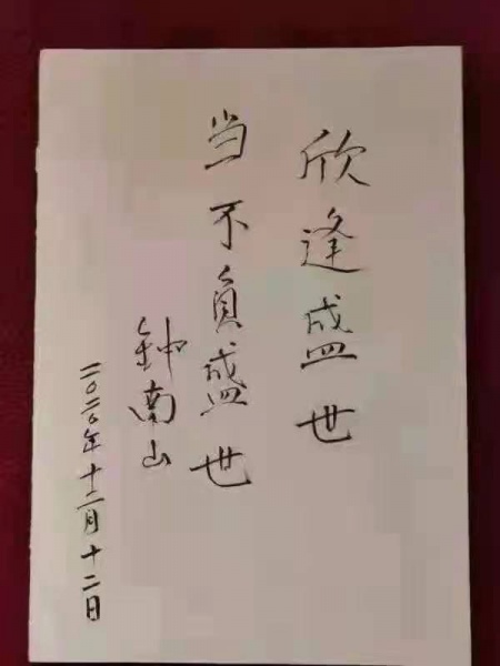 文件:钟南山-不负盛世.jpg