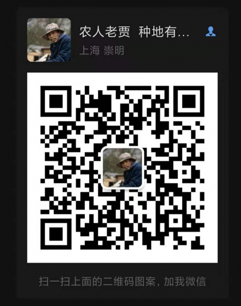 文件:农人老贾1.jpg