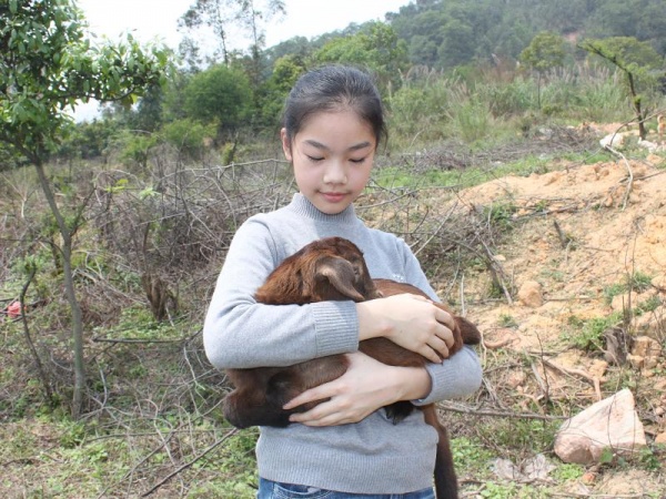 0-IMG 7122-800-600.JPG