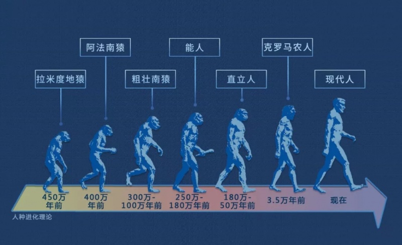 文件:文明2.jpg