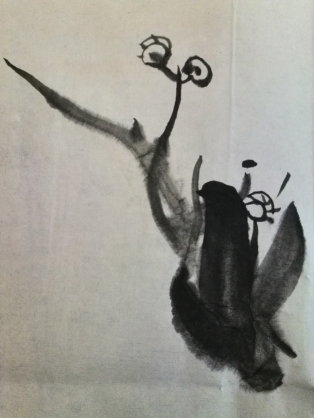 文件:IMG 20160301 115250.jpg