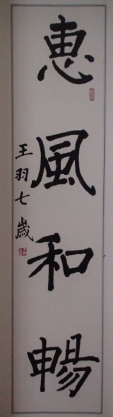 文件:Wangyu07-yfhc.jpg