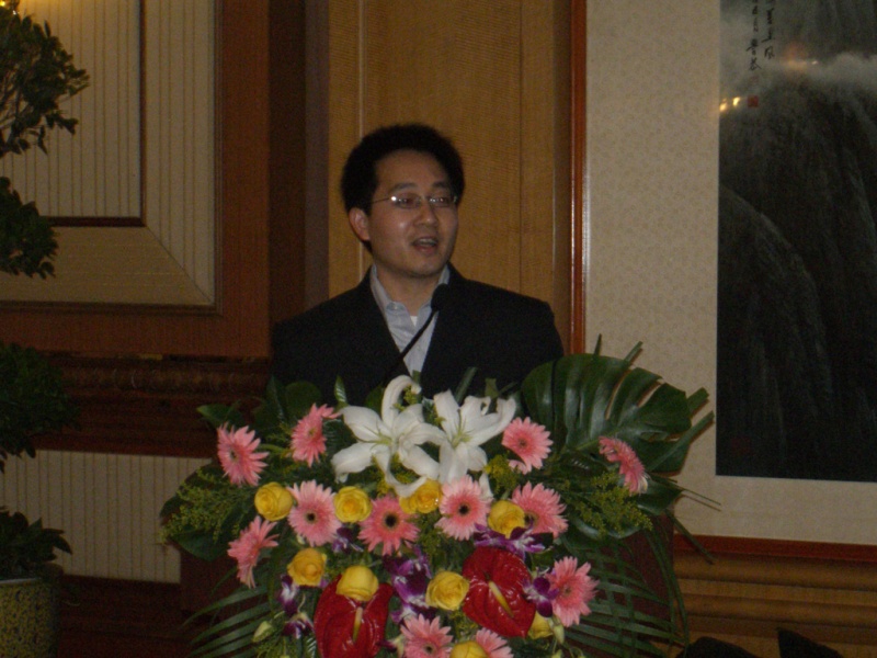 文件:Shenzhen01d.jpg