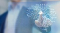 2023年2月10日 (五) 12:54的版本的缩略图