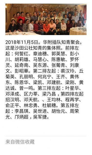 文件:沙田知青合照.jpg