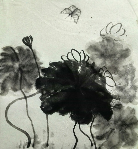 文件:IMG 20160224 100601.jpg