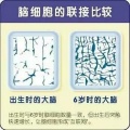 2021年3月22日 (一) 09:44的版本的缩略图