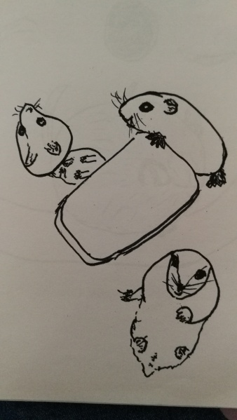 文件:IMG 20190418 121024.jpg