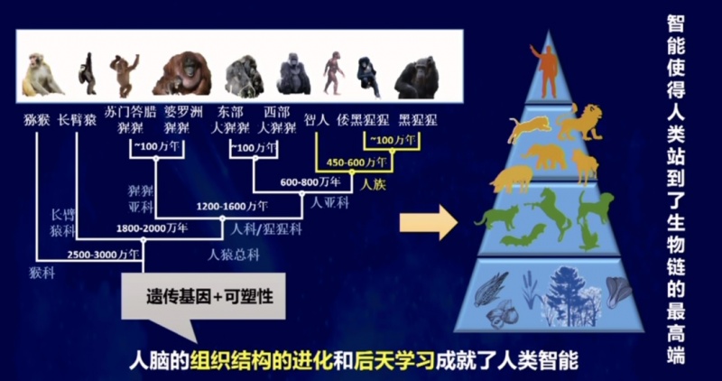 文件:李德毅认知的三次革命3.jpg