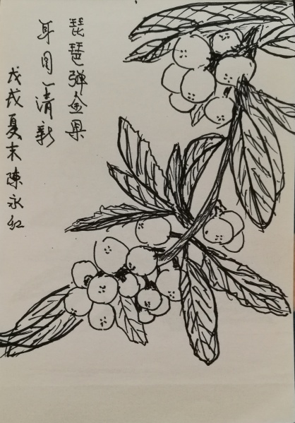 文件:IMG 20190418 121555.jpg