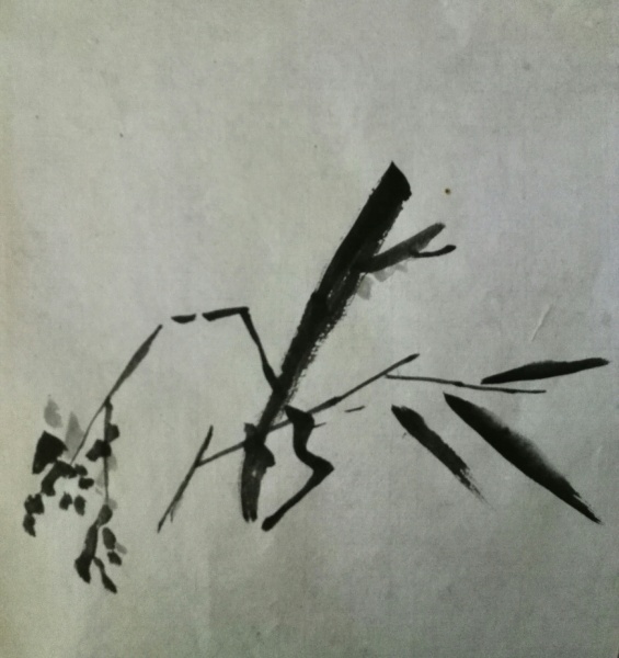 文件:IMG 20160301 115504.jpg