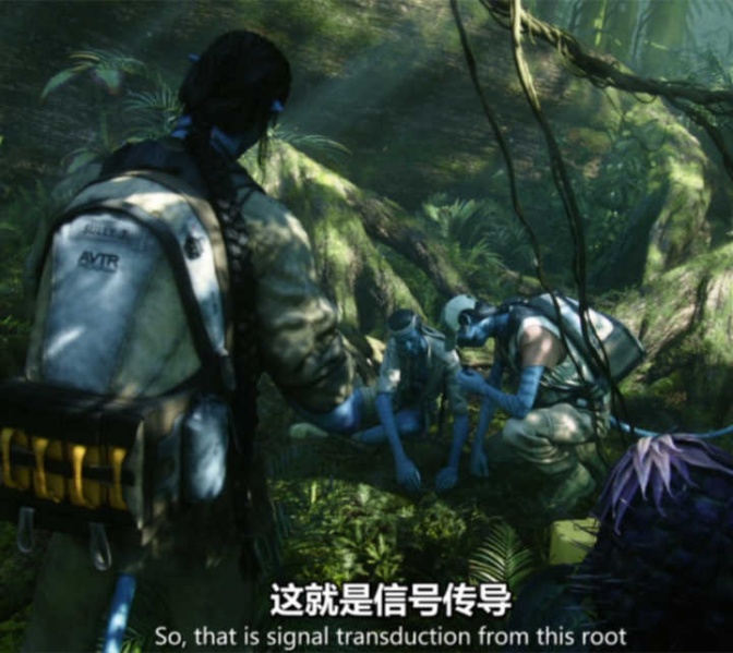 文件:人工智能会有自我意识吗8-2.jpg