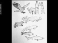 2012年6月14日 (四) 07:26的版本的缩略图