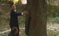 2025年3月15日 (六) 08:57的版本的缩略图