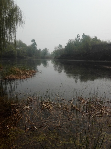文件:永固村04.jpg