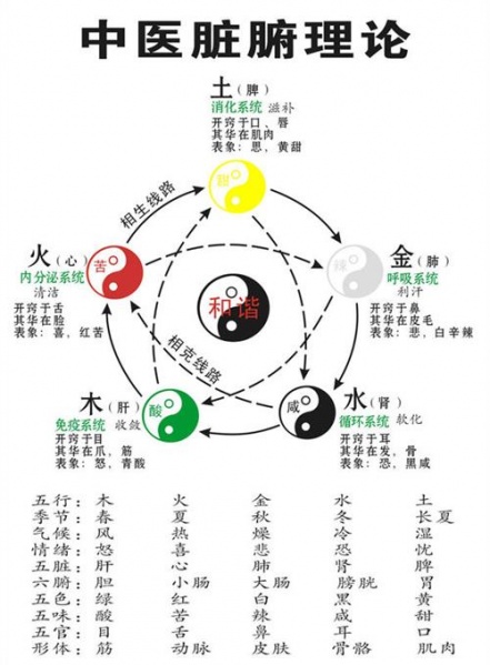 文件:五行与五脏3.jpg