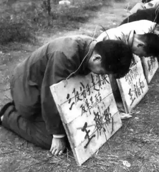 文件:寻找当年的红卫兵31.jpg