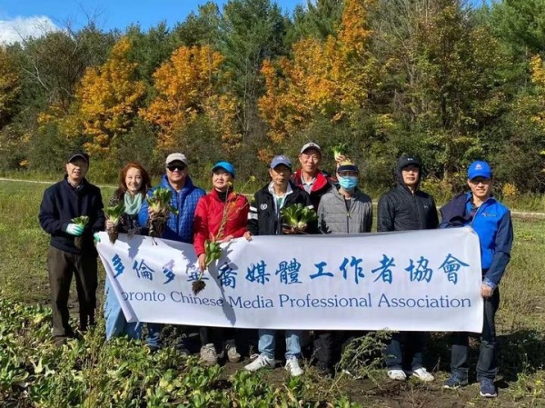多伦多华裔蔬菜采摘10.jpg