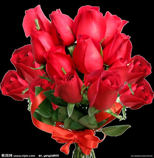 文件:2542066 105027879435 2.jpg