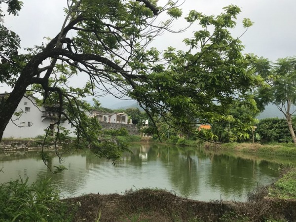 今天的揭阳玉湖乡村.jpg