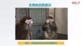 2019年11月2日 (六) 01:55的版本的缩略图